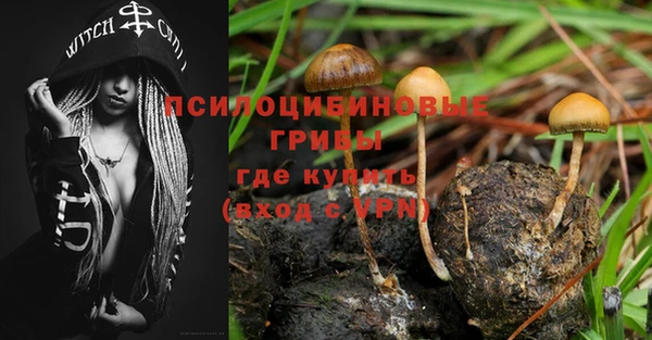 винт Переславль-Залесский
