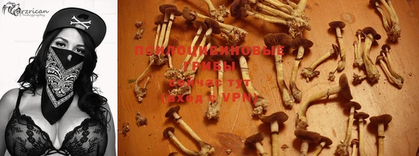 a pvp Остров