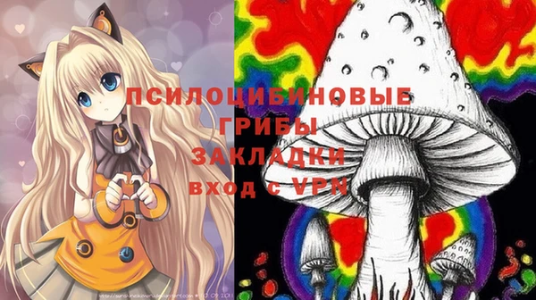 винт Переславль-Залесский